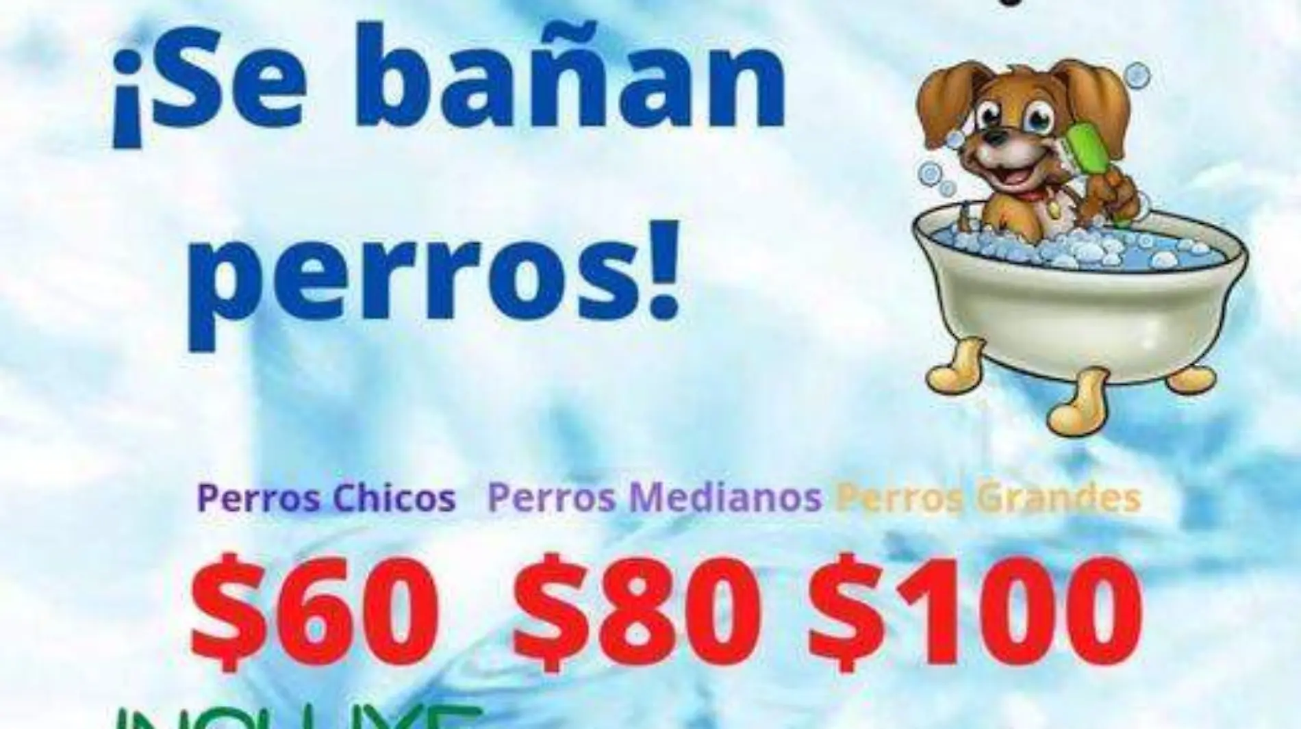 baño perros